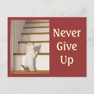 You Did It Postcard