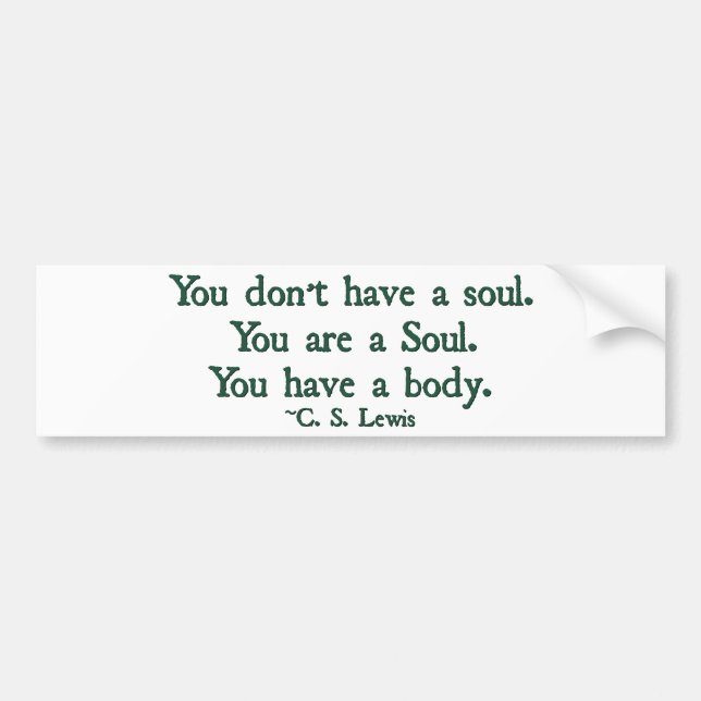 You don't have a soul, you are a soul bumper sticker (Front)