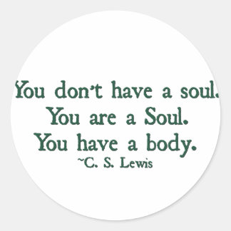 You don't have a soul, you are a soul classic round sticker
