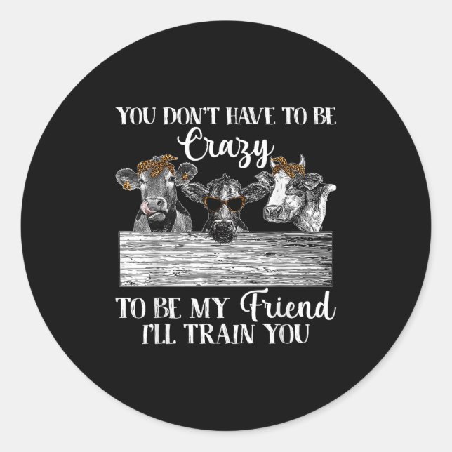 You Dont Have To Be Crazy To Be Friend I'll Train  Classic Round Sticker (Front)