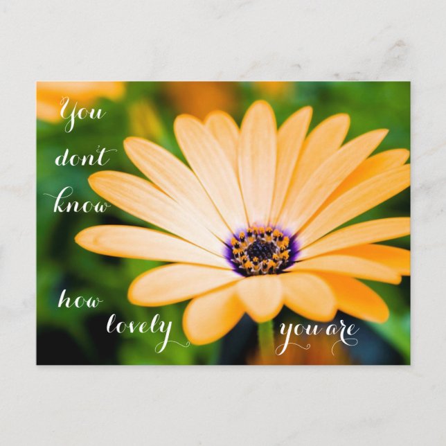 You Don't Know How Lovely You Are Postcard (Front)