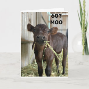 YOU DON'T LOOK A DAY OVER 49 "60th BIRTHDAY" Card