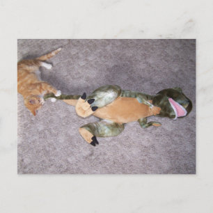 you dont scare me Postcard