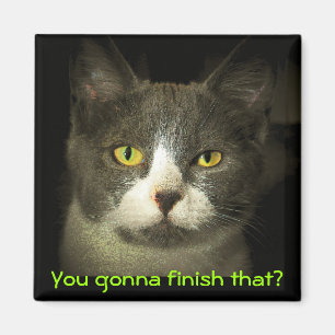 You gonna finish that? Hungry Kitty Magnet
