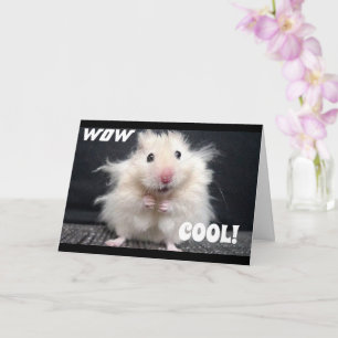 YOU GOT ***A PUPPY*** CONGRATULATIONS** CARD