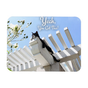 You Got This Cat Motivational Slogan Magnet