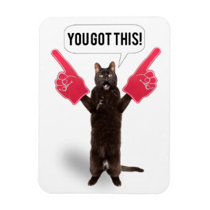 You Got This Encouragement Cat Cheering  Holiday C Magnet