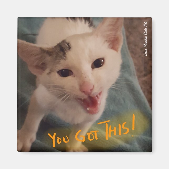 You Got This! kitten magnet (Front)