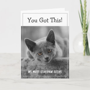 You Got This! We Must Stay Paw-sitive Card