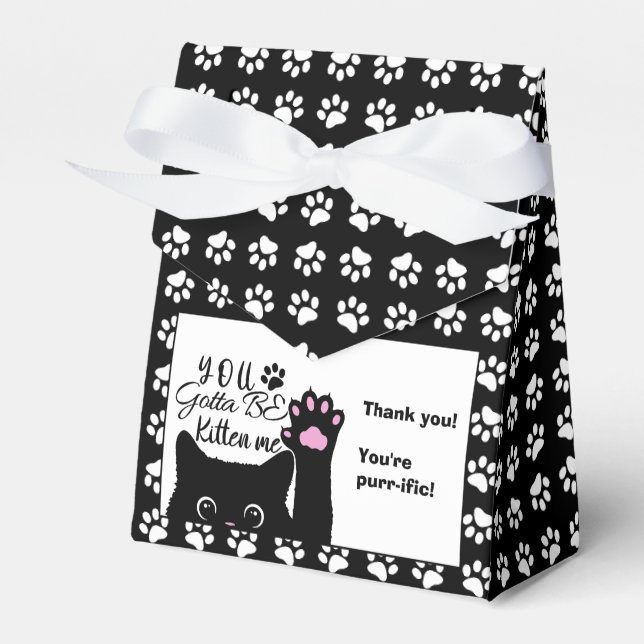 You Gotta Be Kitten Me Funny Cat Pattern Birthday Favour Box (Front Side)
