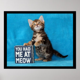 You Had Me at Meow Bengal Kitten Poster