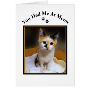 You Had Me At Meow Calico Kitten