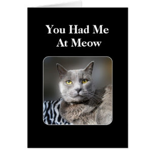 You Had Me At Meow Russian Blue Cat