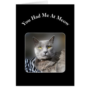 You Had Me At Meow Russian Blue Cat