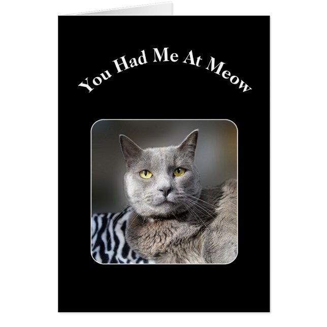 You Had Me At Meow Russian Blue Cat (Front)