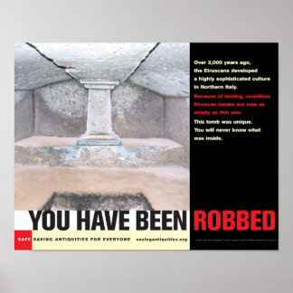 You Have Been Robbed poster