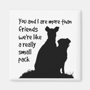 You & I More than Friends we're like a Small Gang Magnet