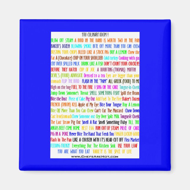 You idiom! magnet (Front)