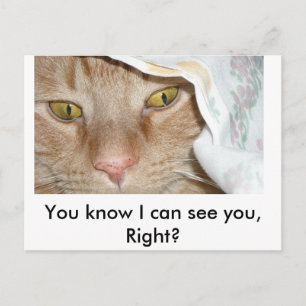 You know I cant see you, Right/Orange Tabby Cat Postcard