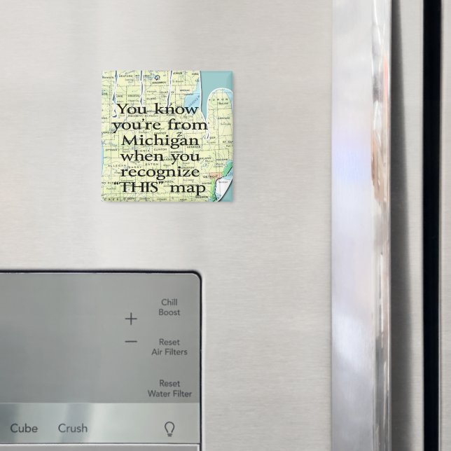 You Know You're From Michigan When You Recognise Magnet (In Situ (Fridge))