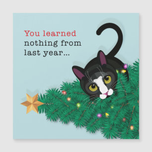 You learned nothing last year!!