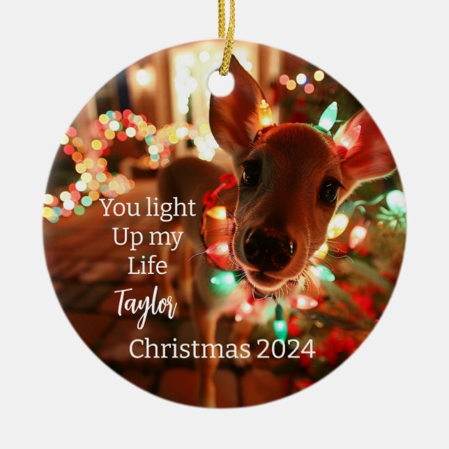 You Light Up my life Deer Personalised Ornament (Front)