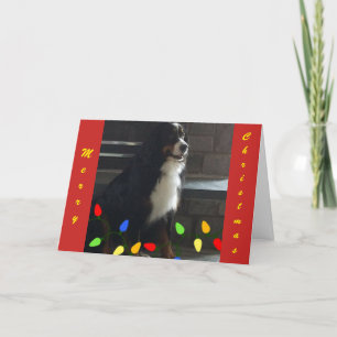 **YOU LIGHT UP MY LIFE** MERRY CHRISTMAS HOLIDAY CARD