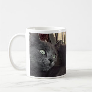 You’ll Always Be My Baby. Cat Coffee Mug
