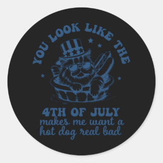 You Look Like The 4th Of July Makes Me Want A Hot  Classic Round Sticker