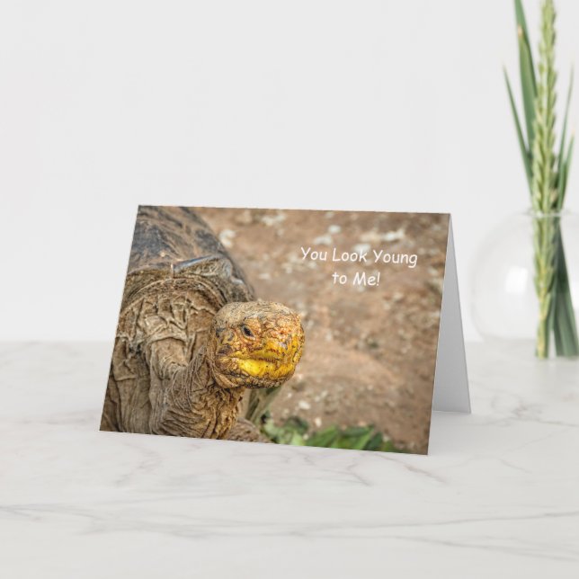 You Look Young to Me! Galapagos Tortoise Birthday Card (Front)