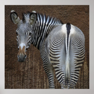 You Looking At Me? Poster