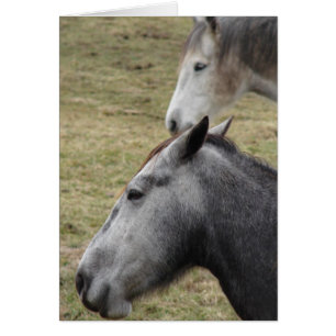 You Made Me But I Still Love You