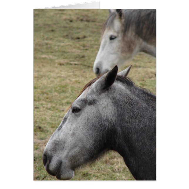 You Made Me But I Still Love You (Front)