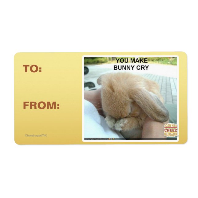 You make bunny cry (Front)