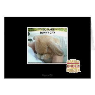 You make bunny cry