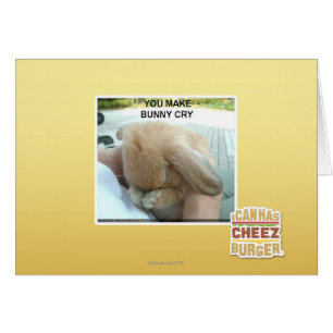 You make bunny cry