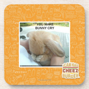 You make bunny cry coaster