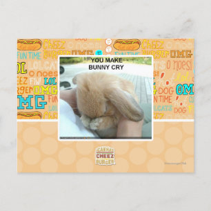 You make bunny cry postcard