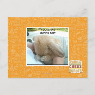 You make bunny cry postcard