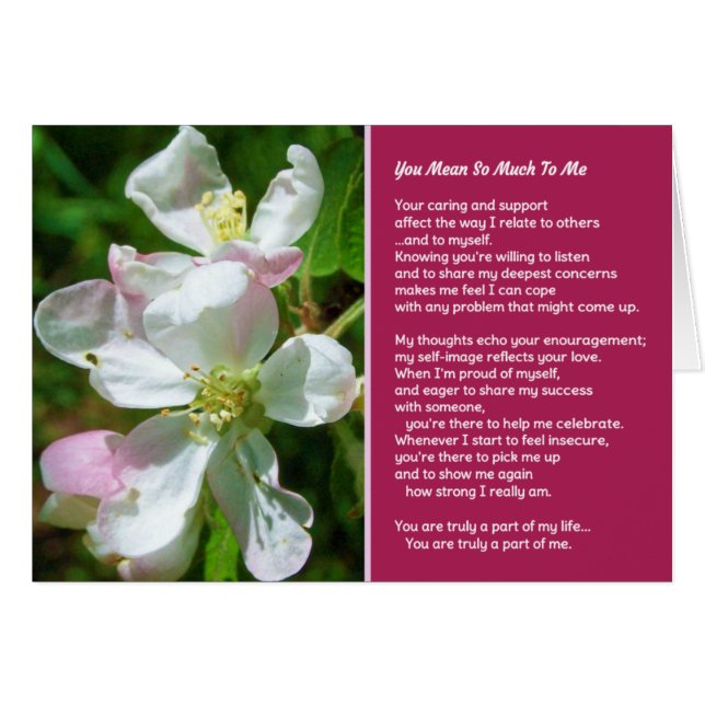 You Mean So Much To Me (Front Horizontal)