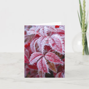 You melt the frost away greeting card