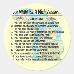 You Might Be A Michigander If: Classic Round Sticker