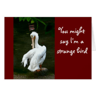 "YOU MIGHT SAY I'M A STRANGE BIRD..." /UNUSUAL LOO