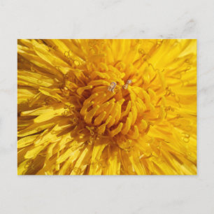 You need a little yellow in your life postcard