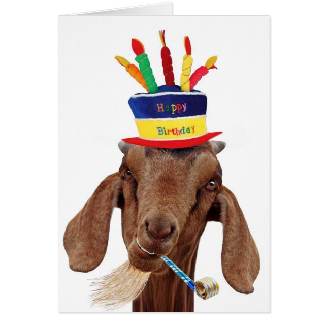 You Ol' Goat (Front)