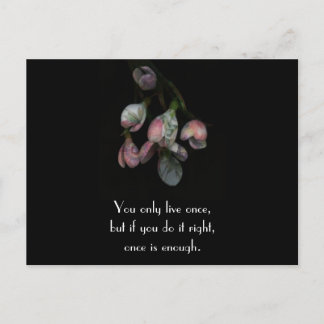 You Only Life Once - Motivational Floral Postcard