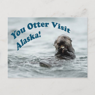 You Otter Visit Alaska Postcard