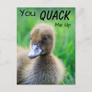 You Quack Me Up Duckling Postcard