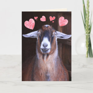 You Rock My World Goat Valentine Holiday Card