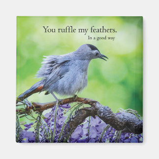 You Ruffle My Feathers   In a good way Magnet